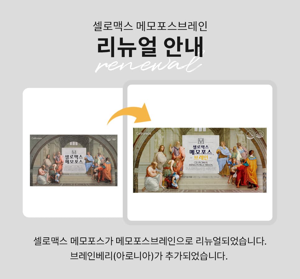 메모포스 브레인 - detail